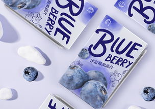 尚智案例 伊山伊水蓝莓汁 饮品包装设计 品牌设计