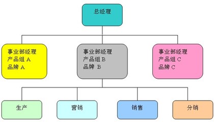 2012年公司战略与风险管理辅导:第五章(3)