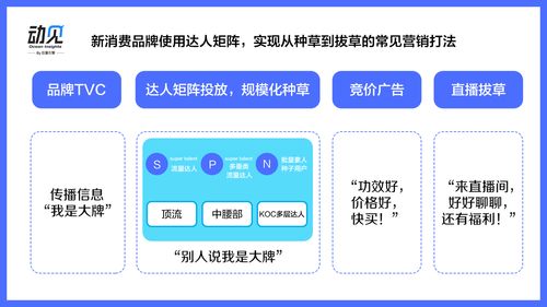 达人投放 品牌如何一次管理1000个达人