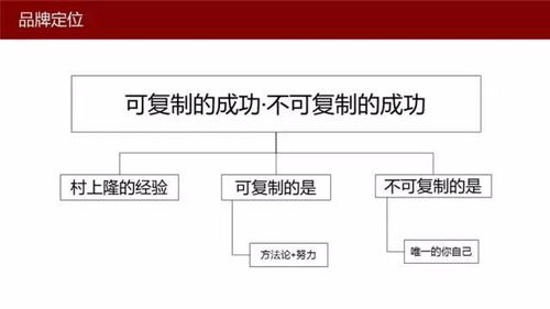 品牌定位与精细化管理